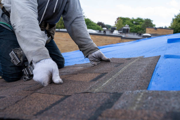 Best New Roof Installation  in Waynesboro, VA