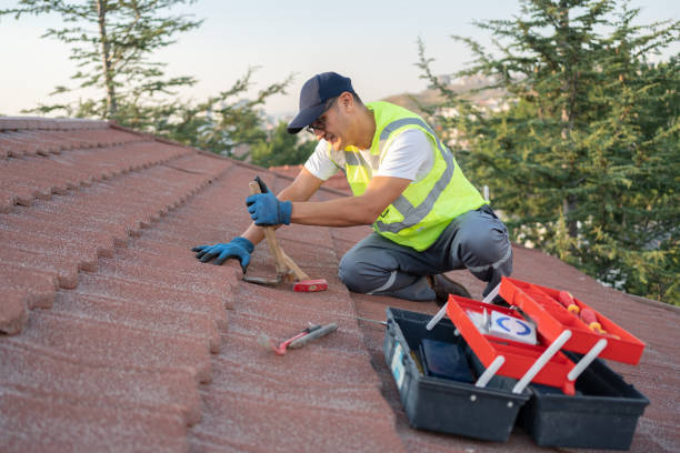 Best Flat Roof Repair Services  in Waynesboro, VA