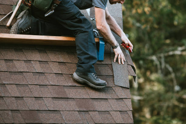 Best Roof Waterproofing Services  in Waynesboro, VA